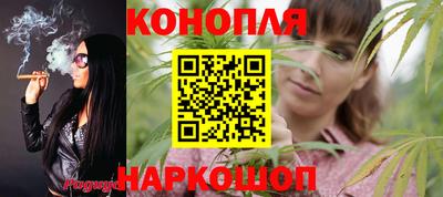 шишки Будённовск