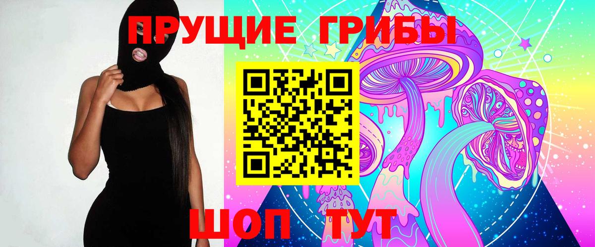 Темрюк  Псилоцибиновые грибы мицелий  Вход с VPN 